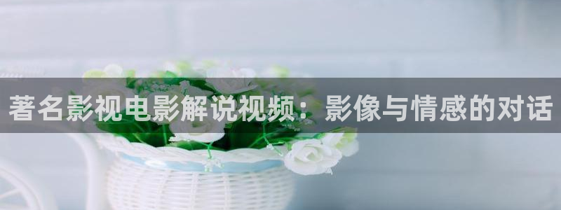 4080新视觉影视大全电影免费观看喜欢