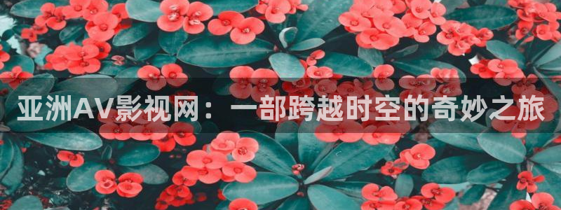 辽化新视觉电影院排表