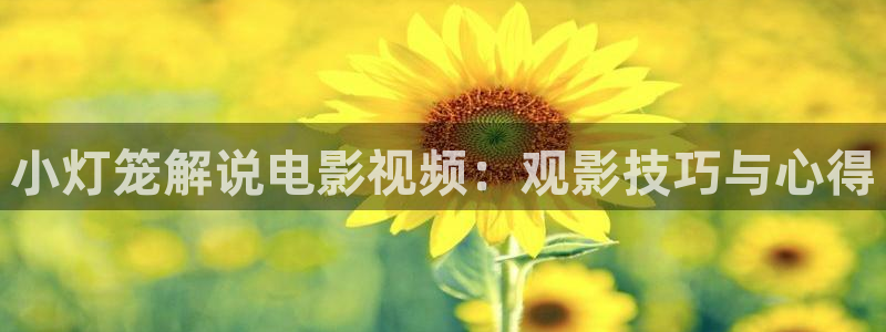 新视觉6080青苹果影视