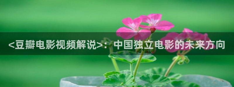 yy6090新视觉影视