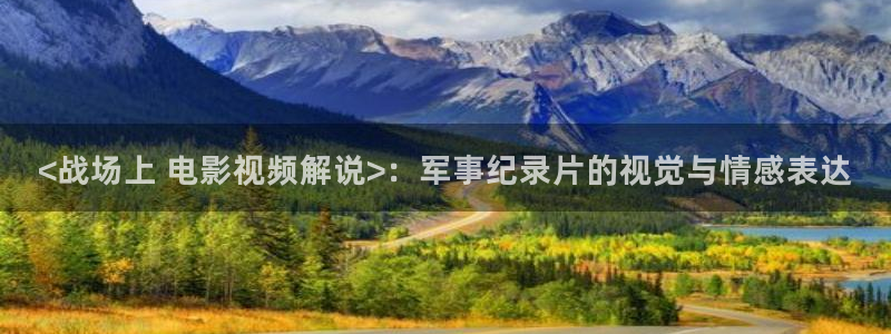 爱新视觉
