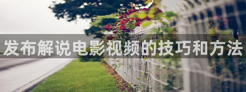歪歪6080新视觉影院