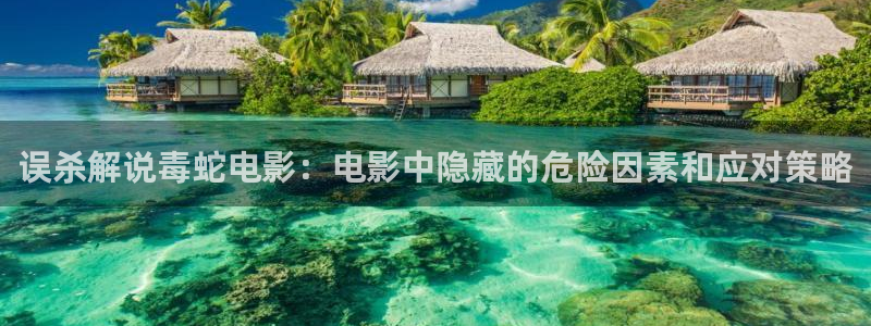 新视觉6080高清电视剧播放