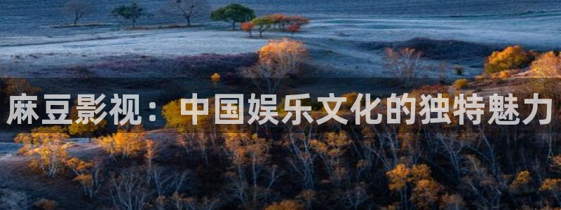 新视觉影院电视剧4080