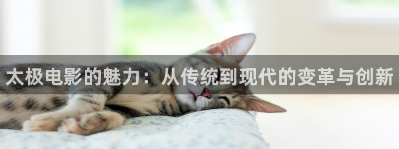 新视觉 网