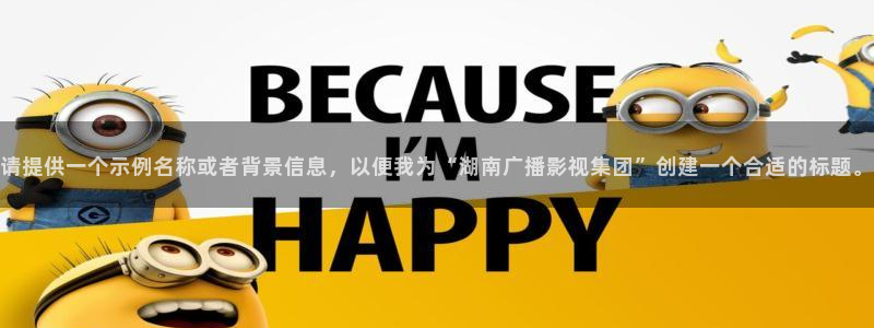 山东新视觉