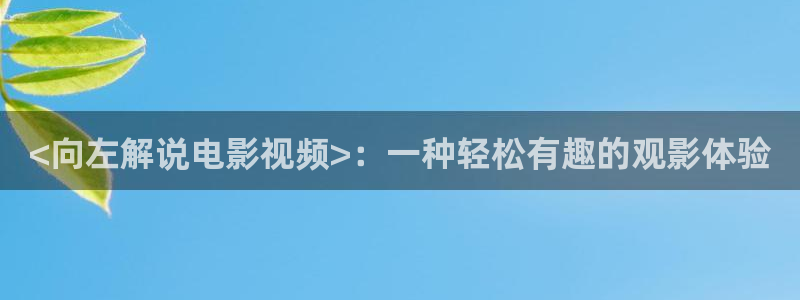 4060新视觉