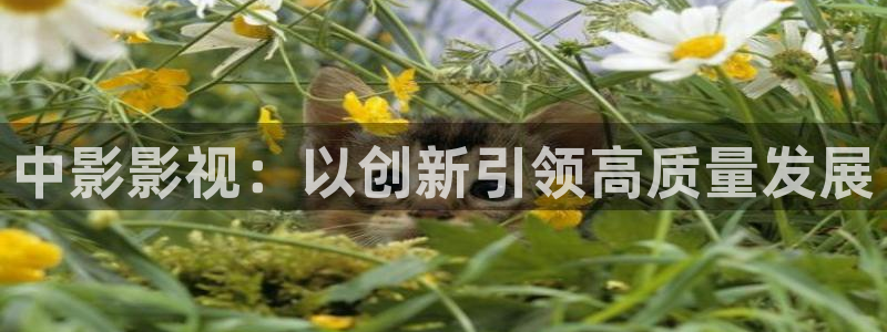 yyy6080新视觉