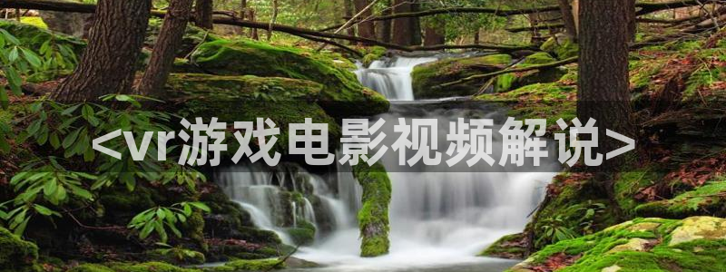 新视觉影视传媒