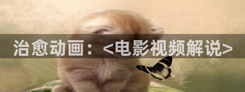 6080新视觉影视逗别看