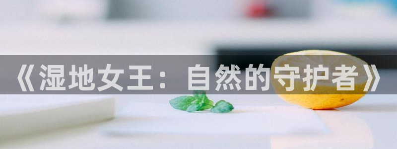 yy6080新视觉影视