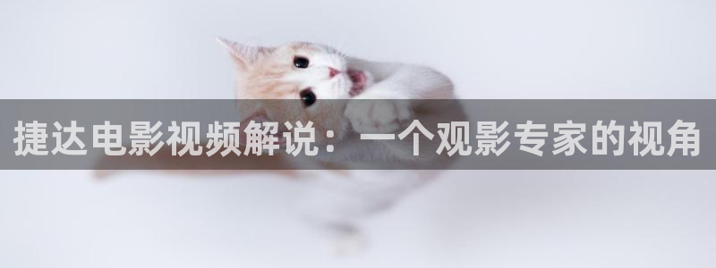 新视觉yy6029影院