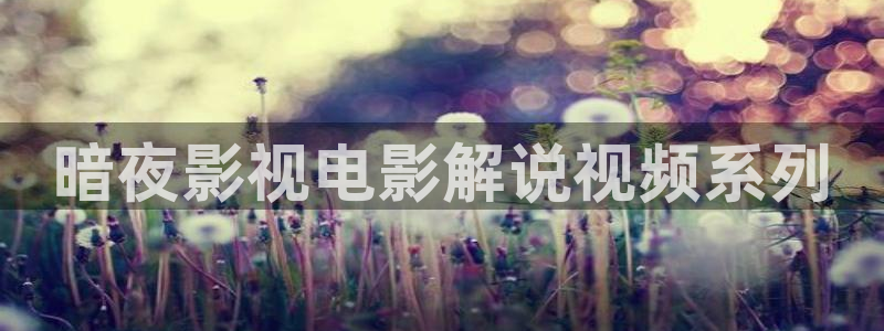 新视觉yy6080高清电视剧在线观看免费
