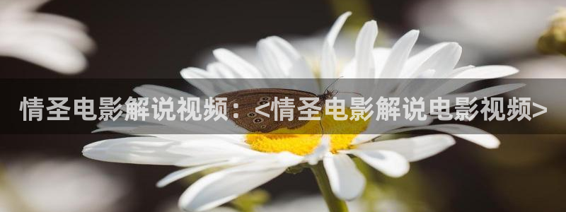 yy4480高清影院新视觉影院首播影院