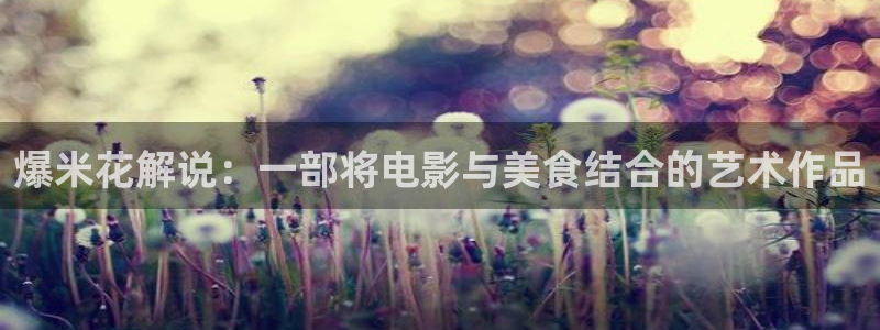 新视觉数码