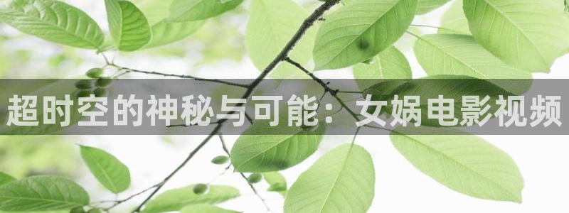 6029新视觉影视电视剧在线观看最新版
