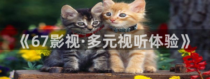 新视觉影院手机版下载
