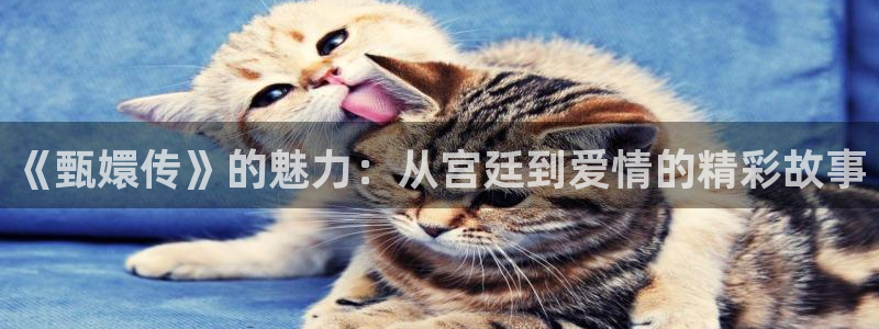 一路向西新视觉