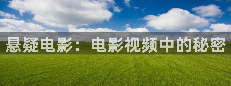 新视觉6080在线观看电影