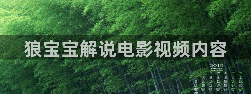新视觉600