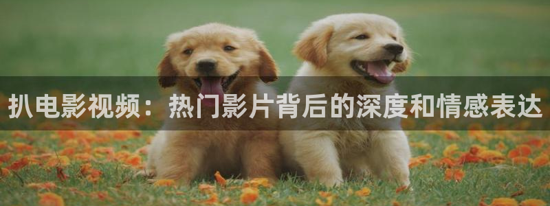 新视觉6080高清视频安全吗