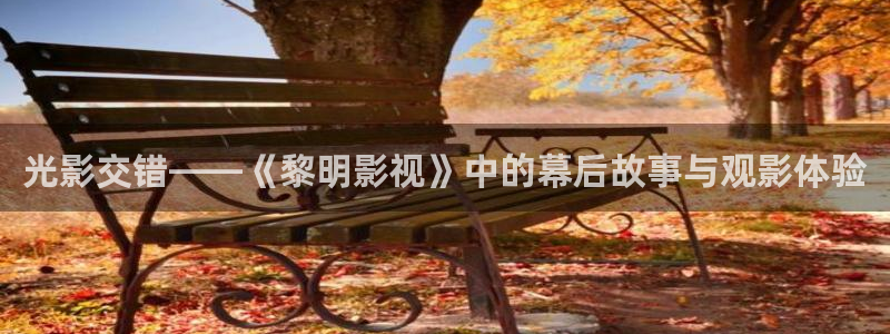 6029新视觉影院在线观看：光影交错——《黎明影视》中的幕后故事与观影体验