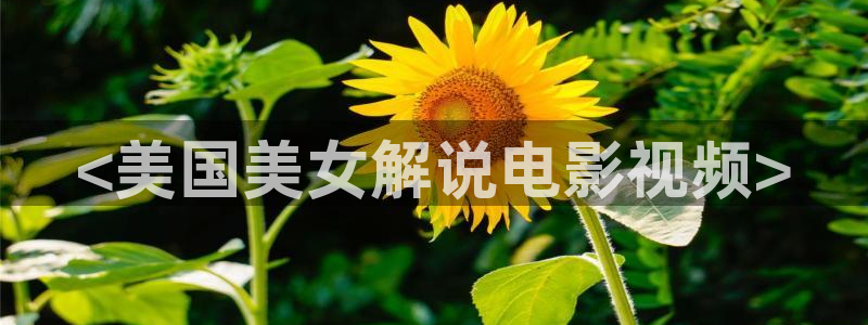 新视觉影院理论