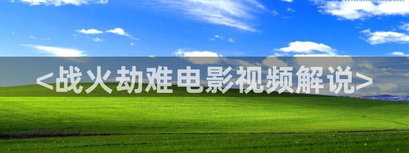 8090新视觉影院在线：<战火劫难电影视频解说>