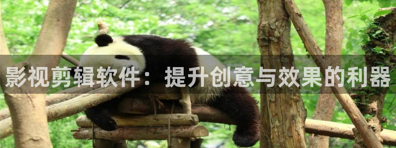 8090新视觉影院平板电脑版：影视剪辑软件：提升创意与效果的利器